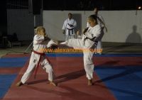 karate (47) (Αντιγραφή)
